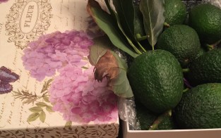 Moore Harvest part 2