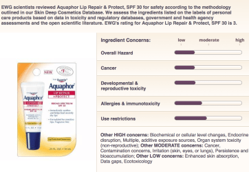 Screen Shot 2019-02-13 at 12.22.07 AM