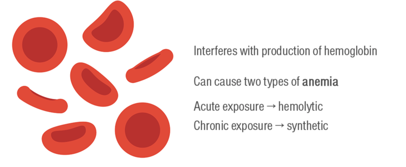 Screen Shot 2019-02-14 at 11.17.23 AM