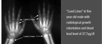 Screen Shot 2019-02-14 at 11.22.51 AM